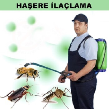 Posof Böcek İlaçlama